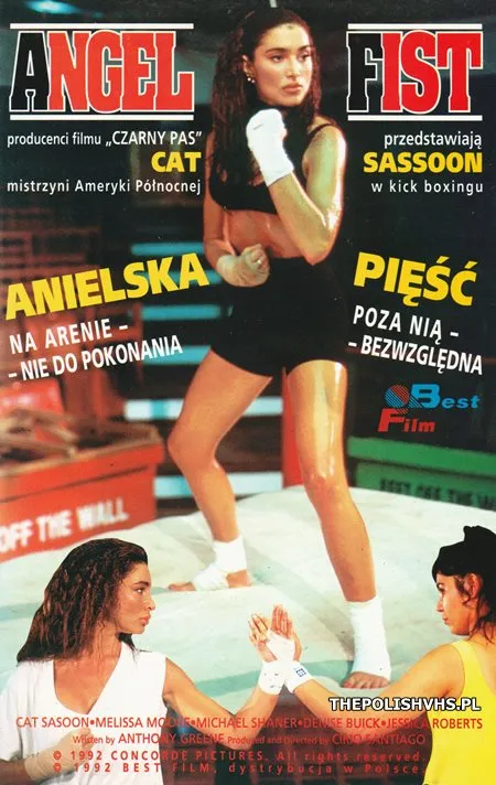 Anielska pięść (1993)