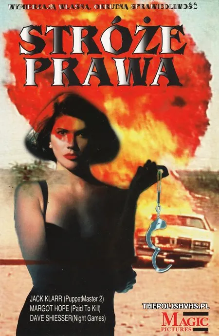 Stróże prawa (1993)