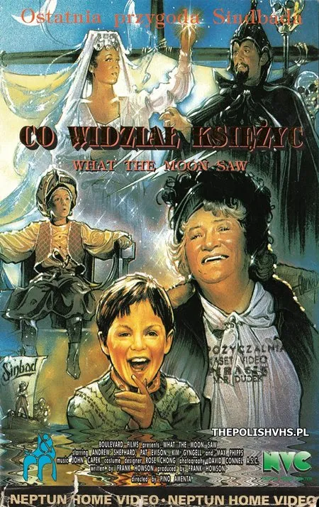 Co widział Księżyc (1990)