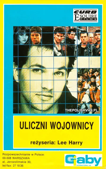 Uliczni wojownicy (1991)