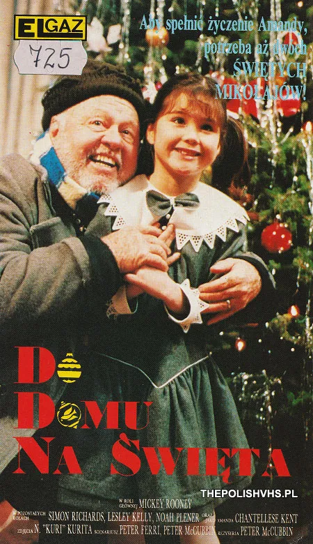 Do domu na święta (1990)