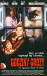 Godziny grozy (1993)