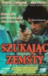 Szukając zemsty (1995)